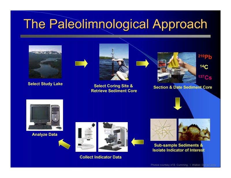 download pancreatic disease progress and prospects