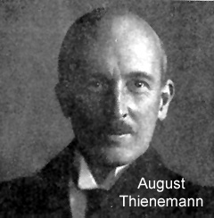 Bild zu Friedrich Thienemann