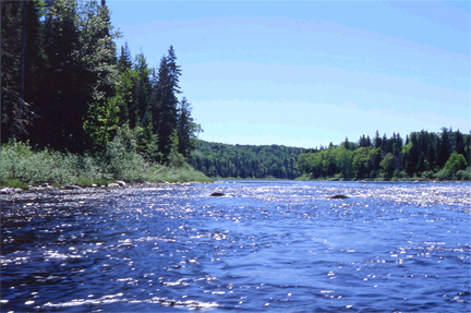 Allagash River- Thank you Govt. of Miane