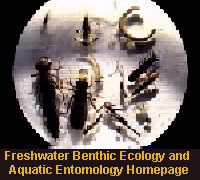 Freshwater Benthic Ecology and Aquatic Entomology Homepage